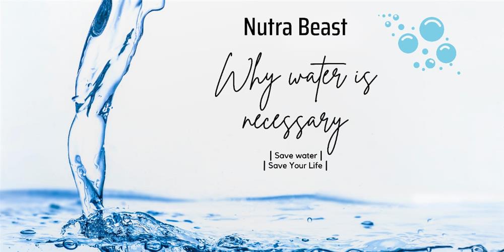 nutrabeast why water is neccessory